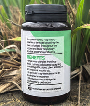 Load image into Gallery viewer, Respiratory & Immune Support Supplement - Futumia elastica