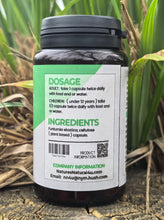 Load image into Gallery viewer, Respiratory & Immune Support Supplement - Futumia elastica