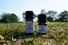 Load image into Gallery viewer, Herbal Tooth & Gum Ointment Peppermint- 2.5ml